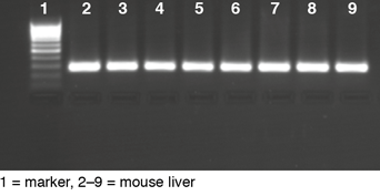 NucleoSpin 96 DNA FFPE